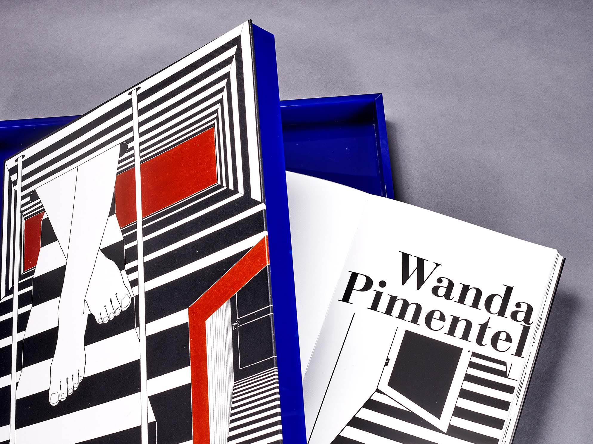Anita Schwartz Galeria de Arte lança o livro “A coleção Wanda Pimentel” durante a SP-Arte