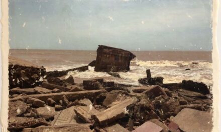 Exposição “Escombros, peles, resíduos”: Jeane Terra se inspirou em ruínas da praia de Atafona