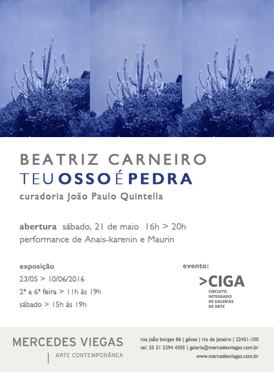 Galeria Mercedes Viegas inaugura individual da artista Beatriz Carneiro