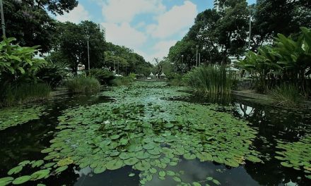 Recife: Prefeitura promove Seminário Internacional em homenagem ao paisagista Burle Marx
