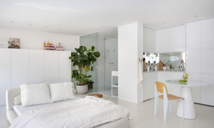 “quarto-e-sala” de 40 m2, em Ipanema, transformado em um loft minimalista